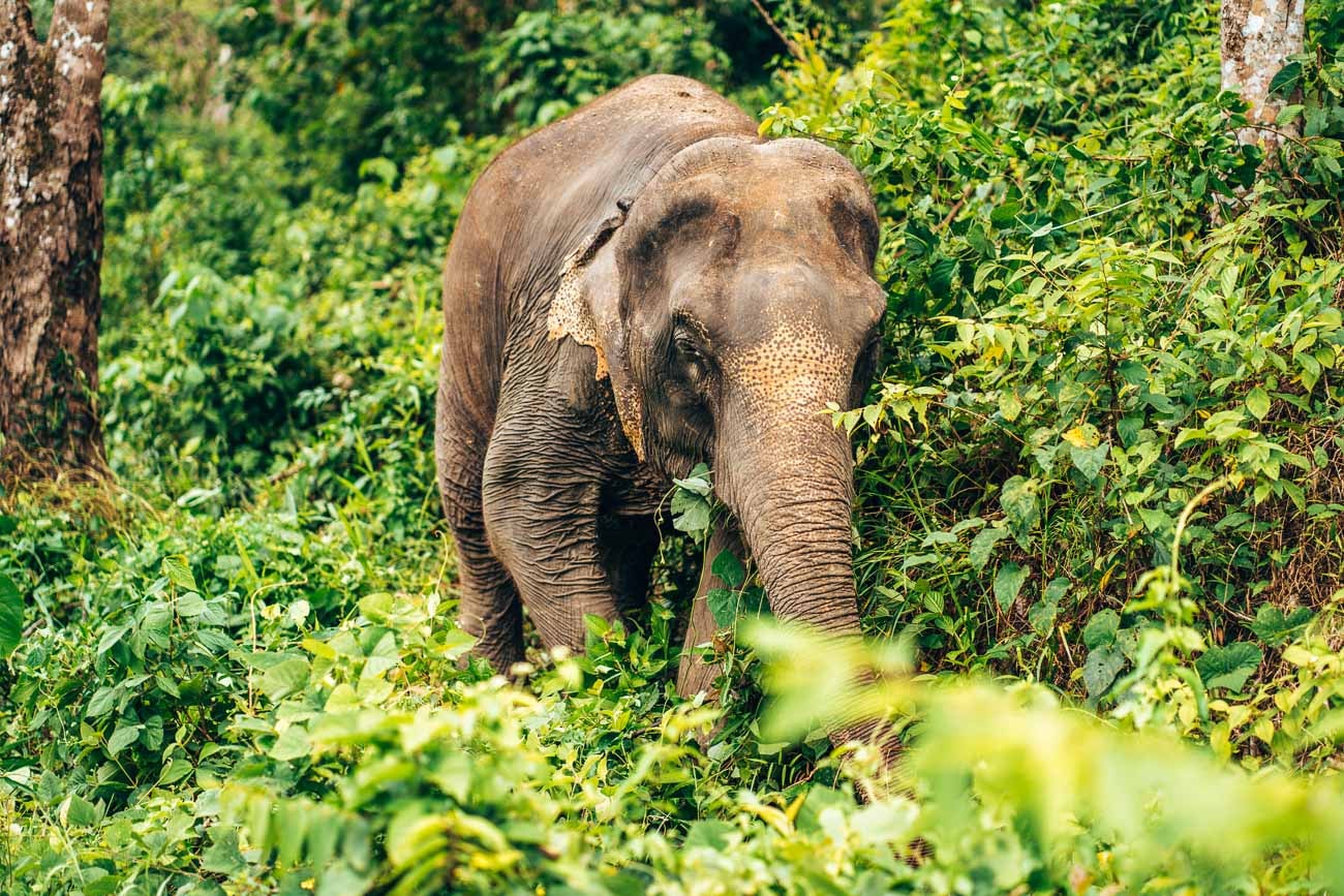 Top 5 Reasons to Go to Thailand Now