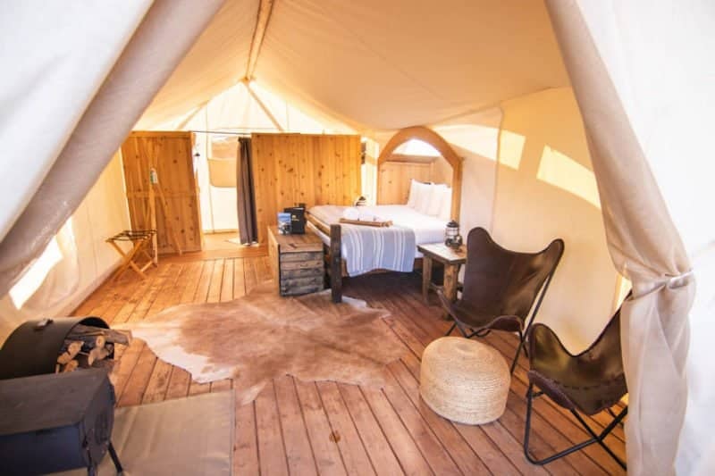 stargazer tent under canvas zion