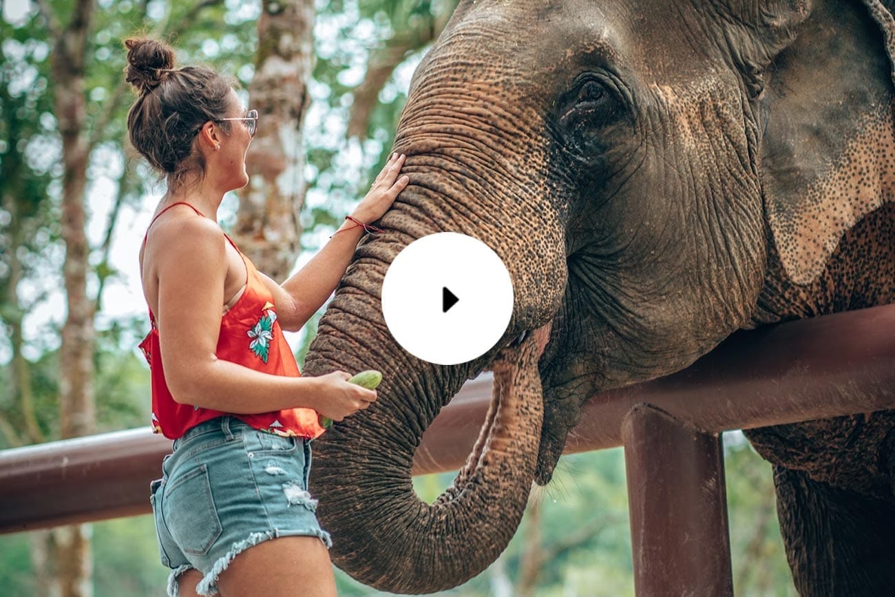 Travel Video: Phuket Elephant Sanctuary