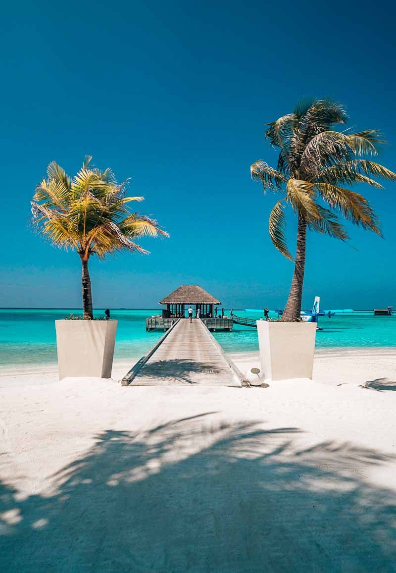 arrival at niyama maldives