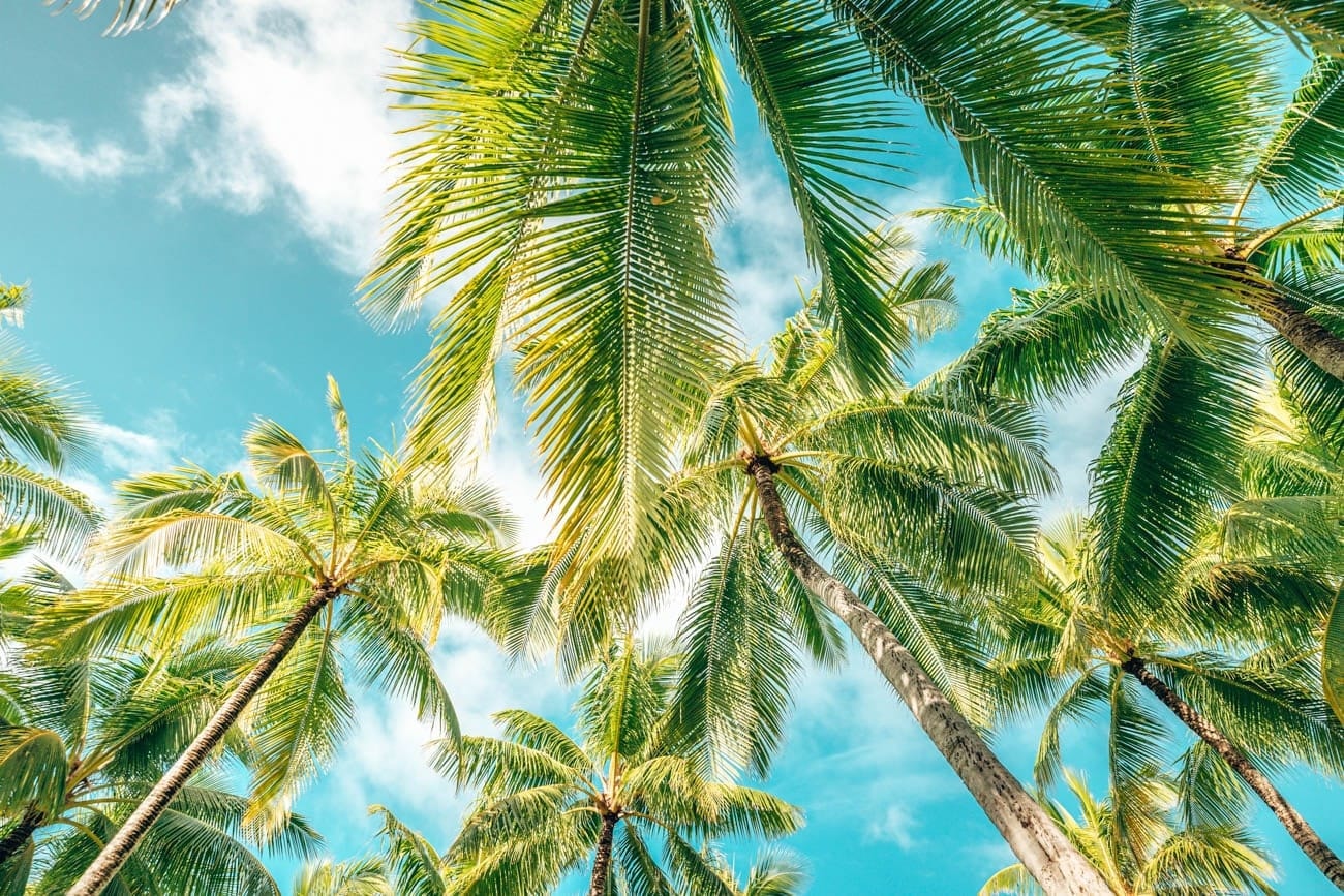 four seasons bora bora