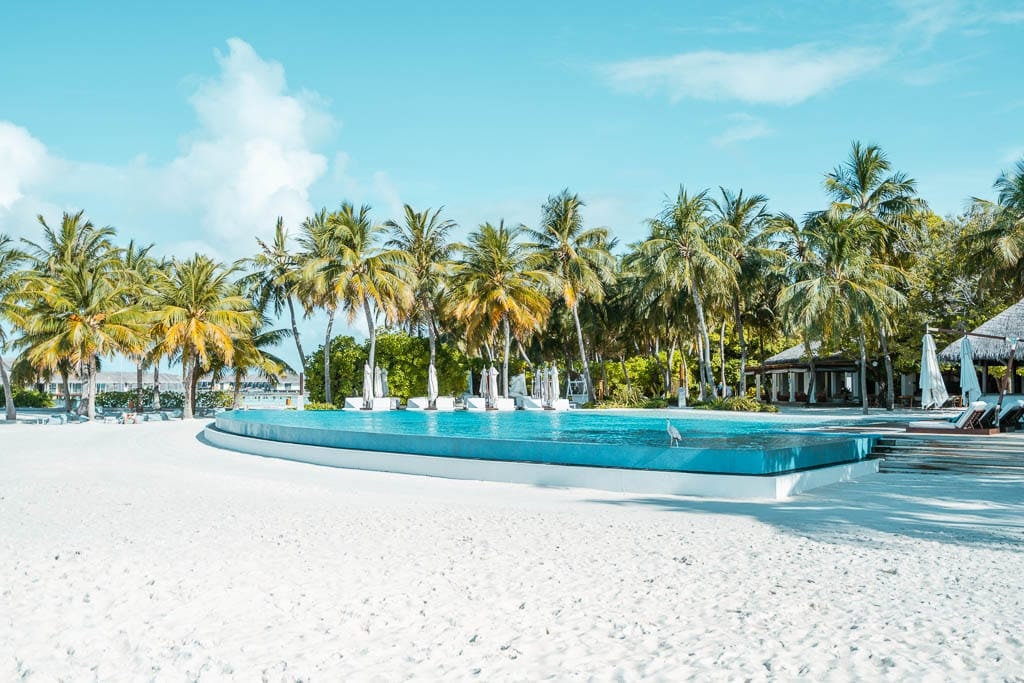 Maldives 2026 – Media Trip