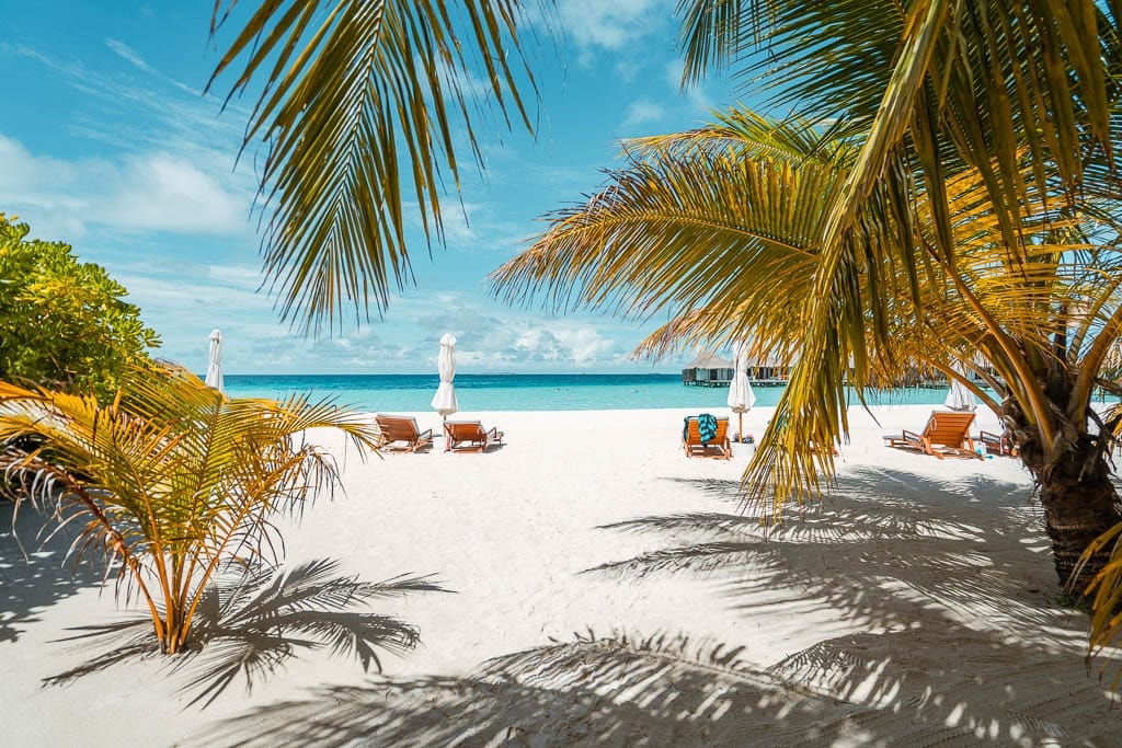 Maldives 2026 – Media Trip
