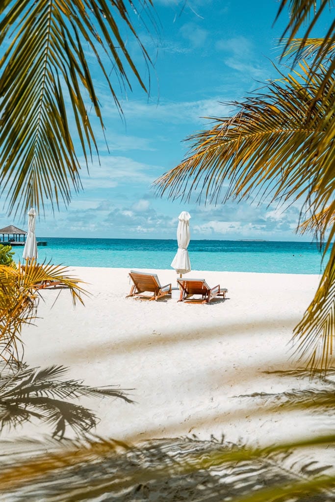 Maldives 2026 – Media Trip