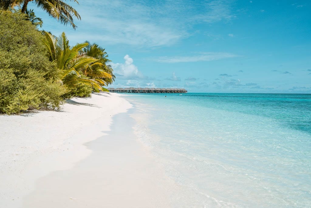 Maldives 2026 – Media Trip