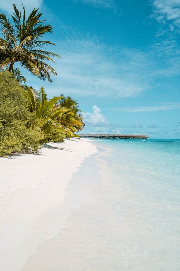 Maldives 2026 – Media Trip