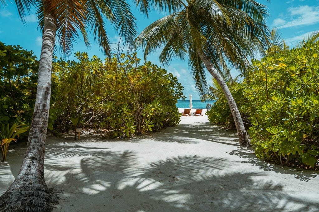 Maldives 2026 – Media Trip