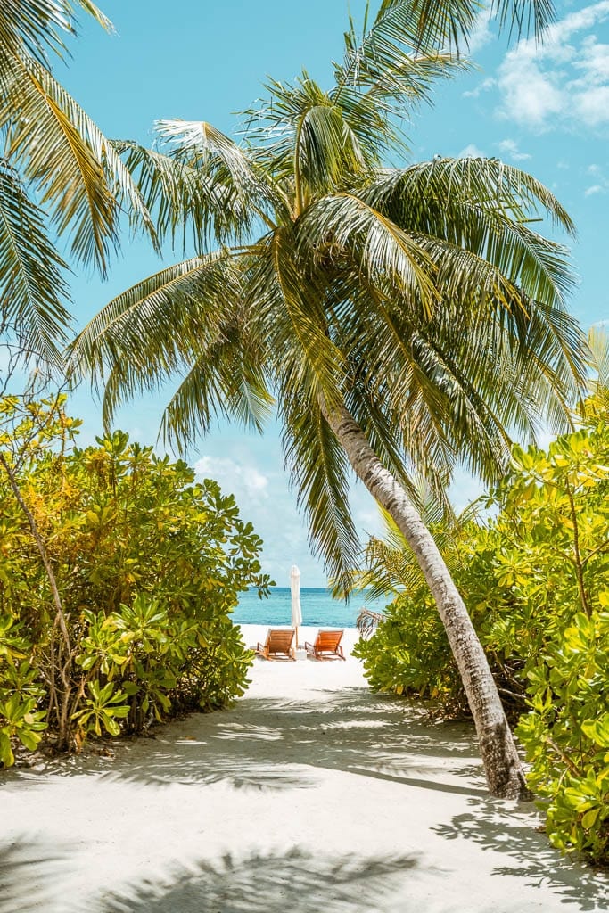 Maldives 2026 – Media Trip