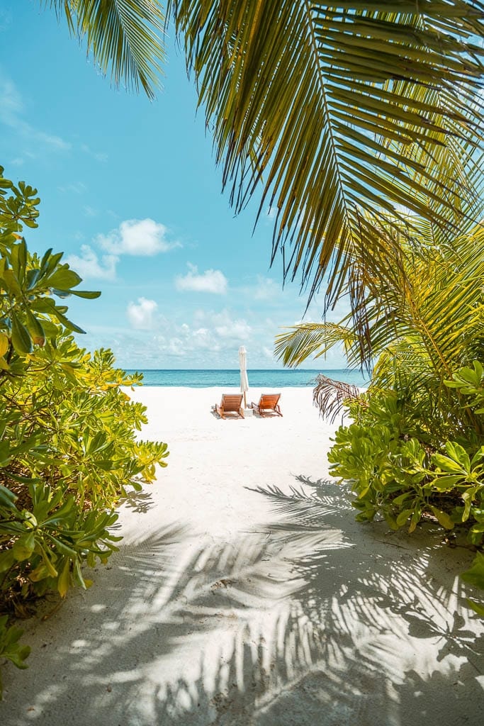 Maldives 2026 – Media Trip