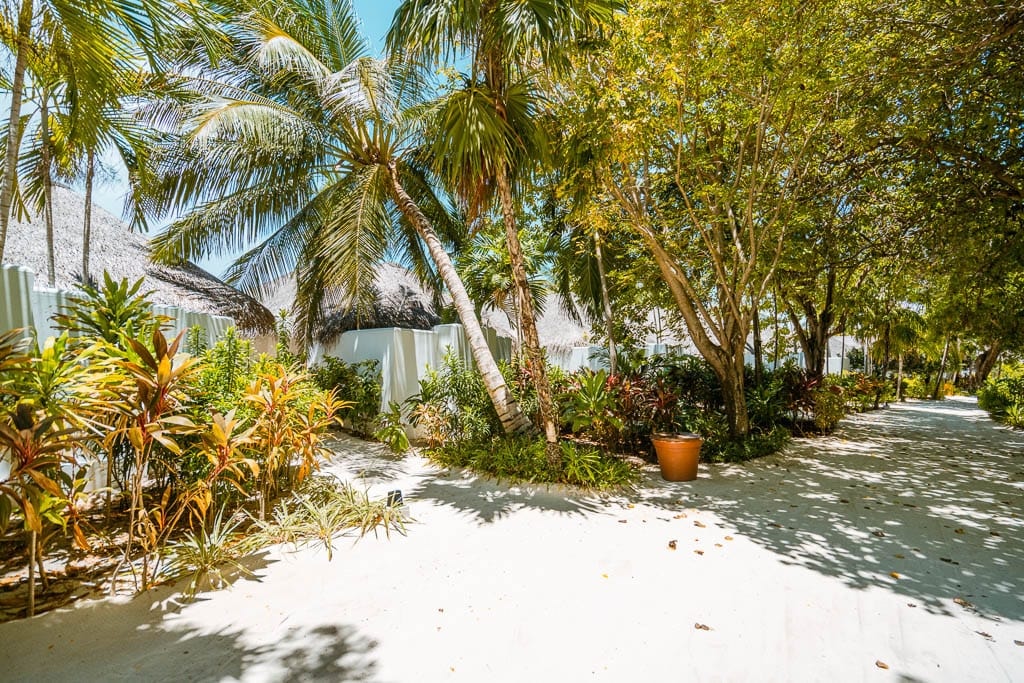 Maldives 2026 – Media Trip