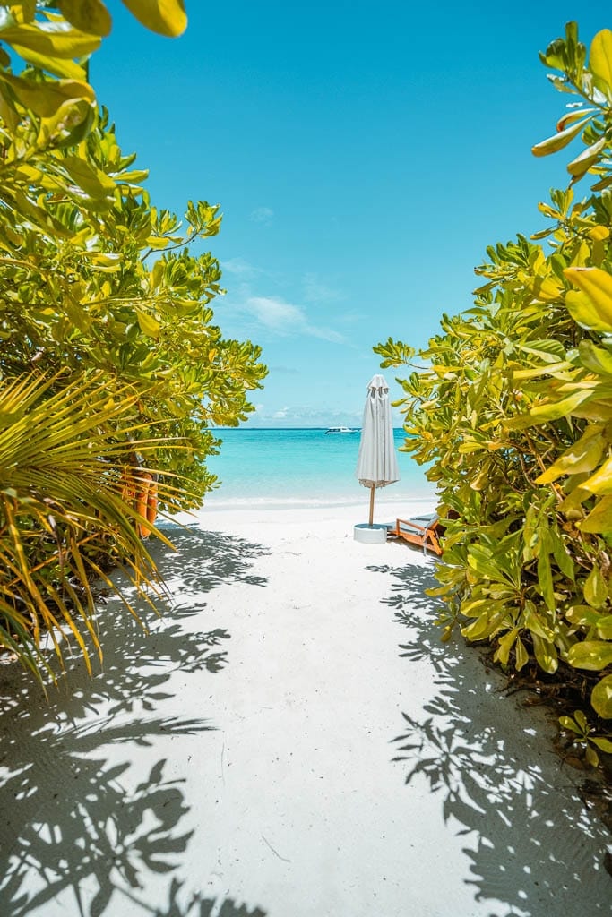 Maldives 2026 – Media Trip