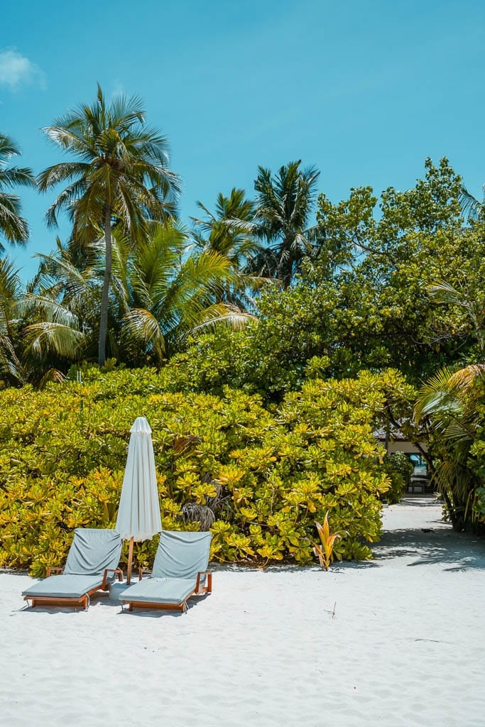 Maldives 2026 – Media Trip