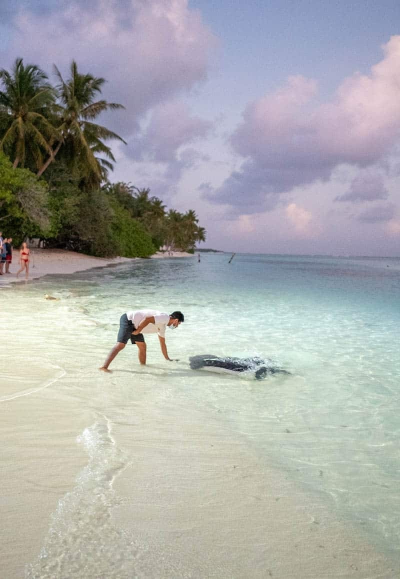 Sun Island Maldives