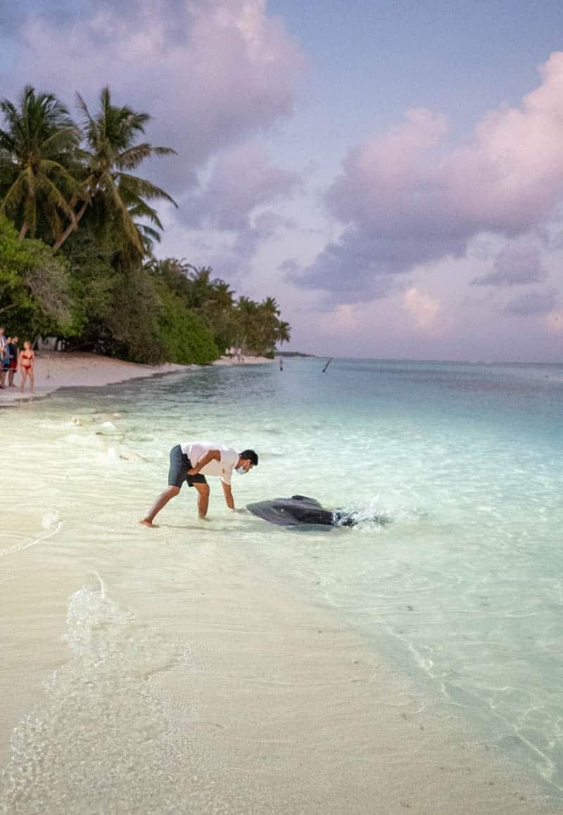 Sun Island Maldives